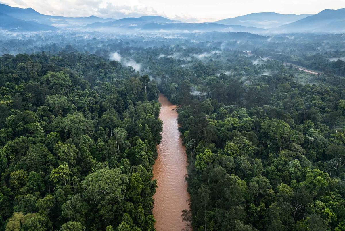 FOTO: Eksploitasi Nikel Menjadi Ancaman Keberlangsungan Hutan Masyarakat Adat di Halmahera Tengah