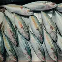 Protein Hewani Tak Harus Mahal, Ikan Kembung Bisa Jadi Pilihan