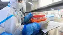 Seorang teknisi laboratorium yang mengenakan alat pelindung diri (APD) bekerja pada sampel yang akan diuji untuk virus corona Covid-19 di laboratorium Mata Api, fasilitas pengujian Covid-19, di Wuhan di provinsi Hubei tengah China (5/8/2021). (AFP/STR)