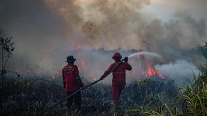 Helikopter Rusia Dikerahkan Padamkan Kebakaran Hutan di Sumsel