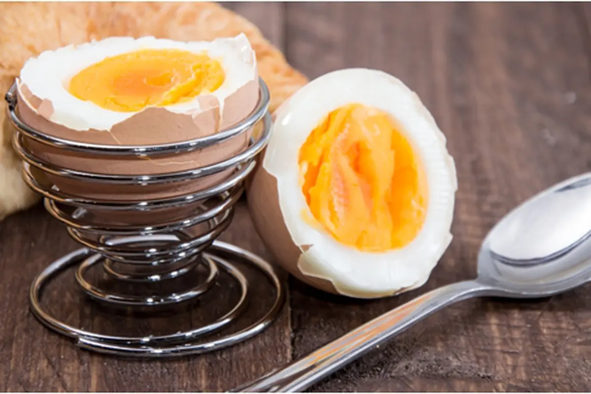 Courtesy ShutterStock.com