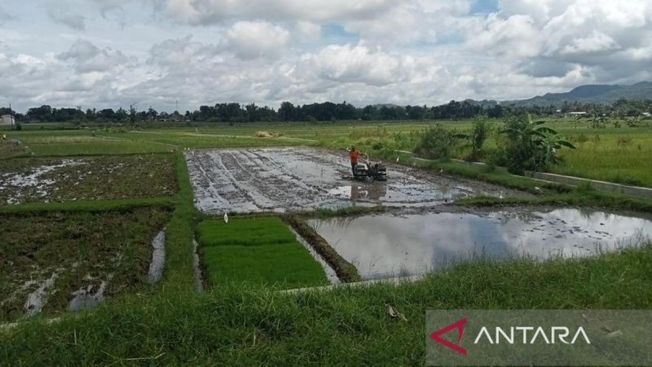 DKPP Bantul Siapkan Ribuan Pompa Air untuk Antisipasi Kemarau Pertanian 2026