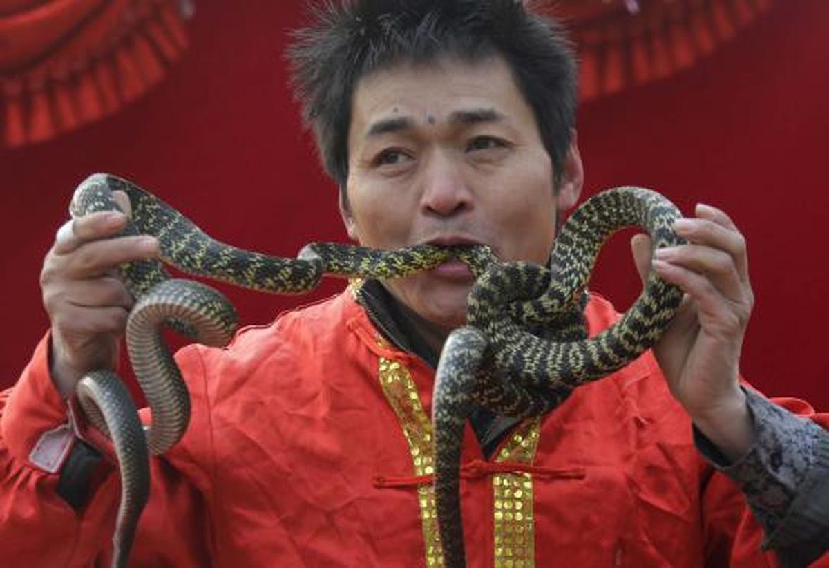 Atraksi berbahaya sambut tahun ular di China