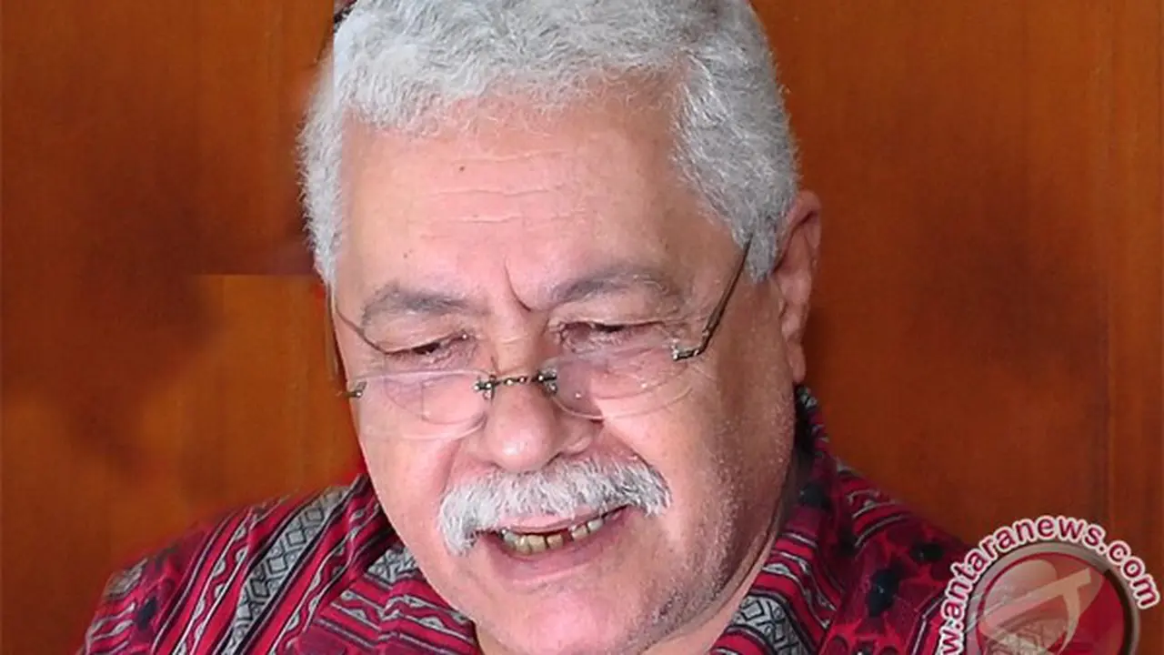 dubes palestina