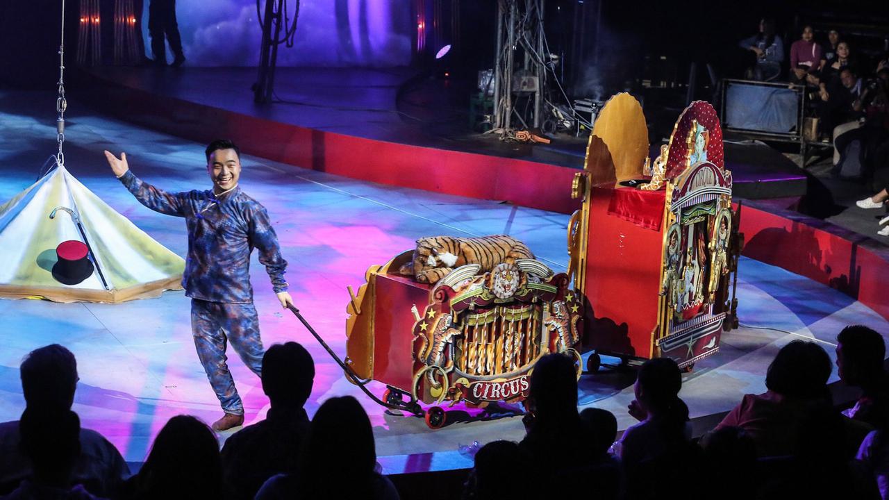 Taman Safari Group Buka Suara Dugaan Eksploitasi Mantan Pemain Oriental Circus Indonesia