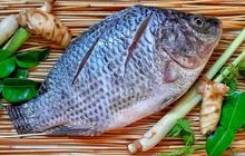 Daftar Ikan yang Boleh Dimakan Penderita Asam Urat