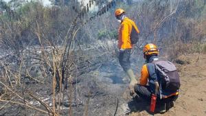 Bromo, Semeru dan Argopuro Terbakar, Api Makin Sulit Dijinakkan