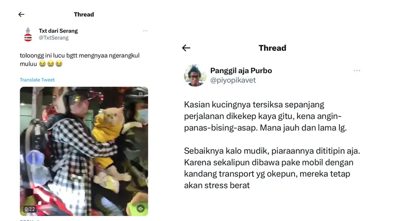 Viral Mudik Lebaran Bawa Anabul, Dokter Hewan Sarankan Lebih Baik Dititip Tak Usah Ikut.