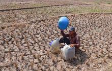 Warga Bertahan dari Kubangan Bekas Sawah di Tengah Kekeringan