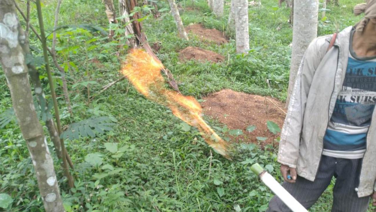 Pipa dari sumur gas di Bantar Kecamatan Wanayasa, Banjarnegara menyemburkan api lantara mengandung gas alam berlimpah. (Foto: Liputan6.com/Muhamad Ridlo)