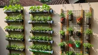 9 Desain Kebun Sayur Minimalis Vertikal Pakai Rak dan Pot Gantung, Solusi Lahan Terbatas