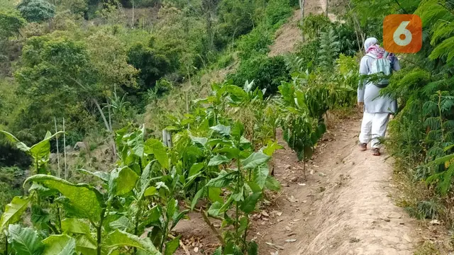 mendaki gunung