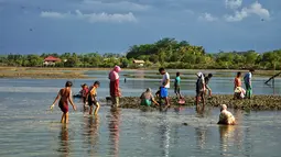Penduduk desa memanen tiram di muara sungai di tepi pantai di Lhokseumawe, provinsi Aceh (27/6/2021). Tiram Aceh sangat bermutu karena didukung dari keberadaan lingkungan yang belum tercemar limbah industri. (AFP/Azwar Ipank)