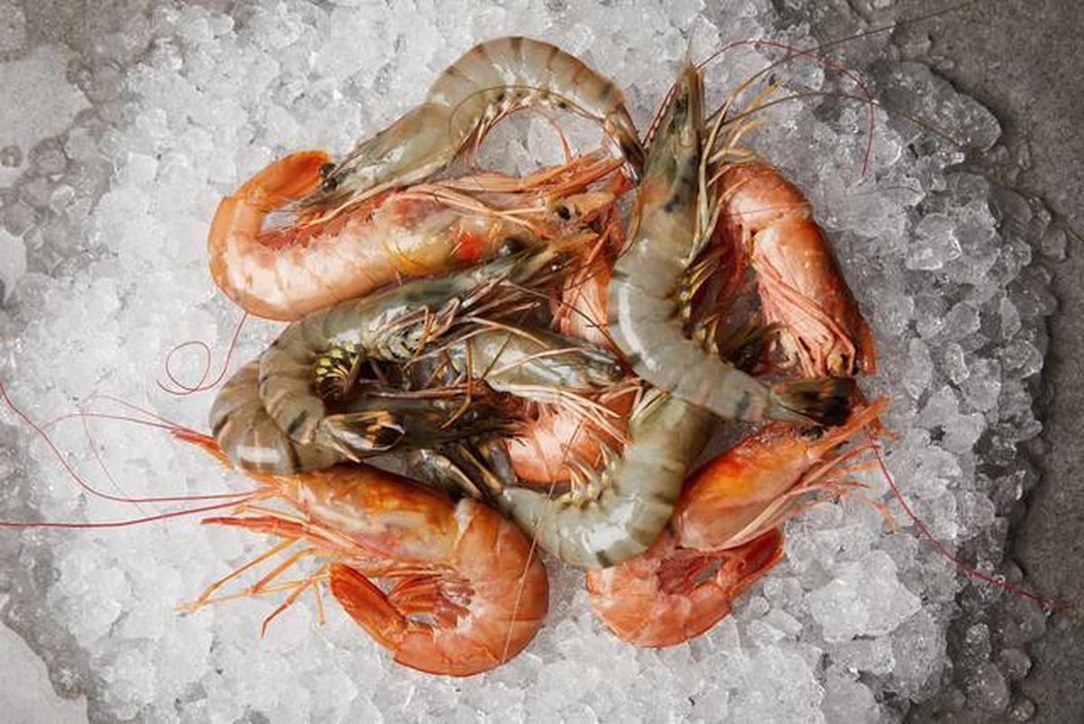 18 Makanan Sumber Kolagen yang Bikin Kulit Awet Sehat