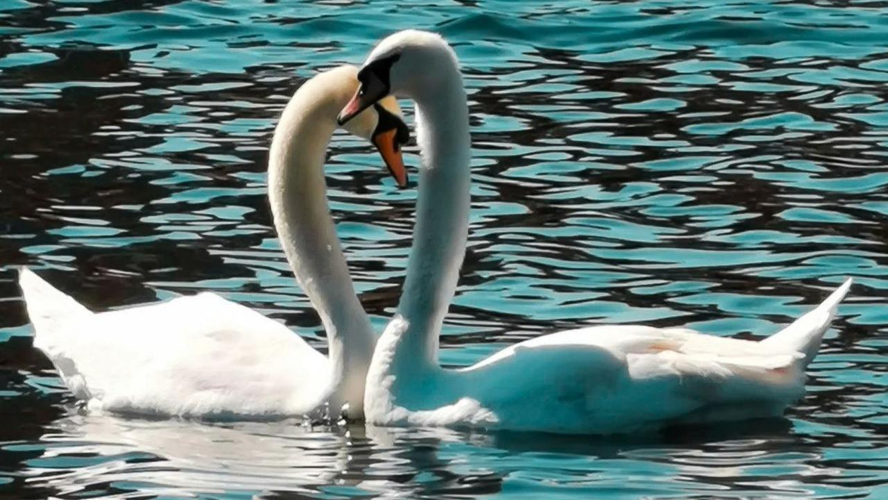10 Puisi Hari Valentine untuk Orang Terdekat, Romantis dan Bermakna