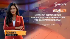 Beredar klaim tentang meminum air rebusan daun sisik naga bisa mengatasi TBC dan batuk berdarah. Benarkah?