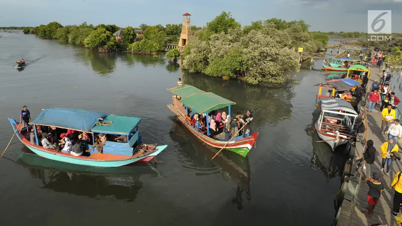 Menikmati Indahnya Wisata Mangrove di Bekasi