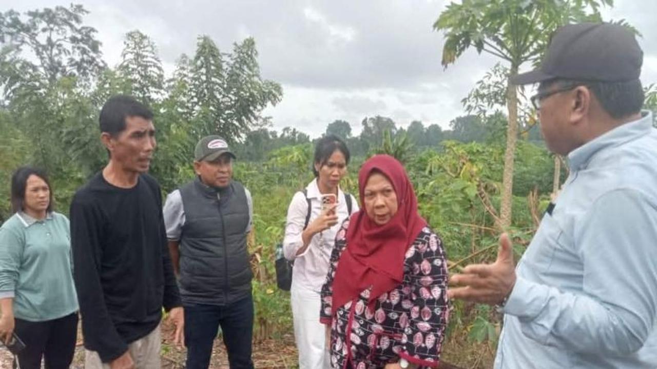 Wagub Sulteng Perkuat Ketahanan Pangan Nasional Lewat Revitalisasi Kawasan Pangan Nusantara