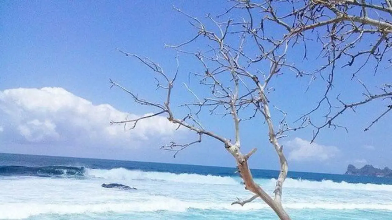 7 Pantai di Malang yang Nggak Bikin Kamu Kekurangan 'Vitamin Sea'