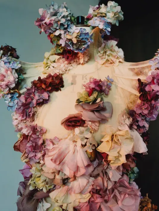 (Doc. Alexander McQueen)