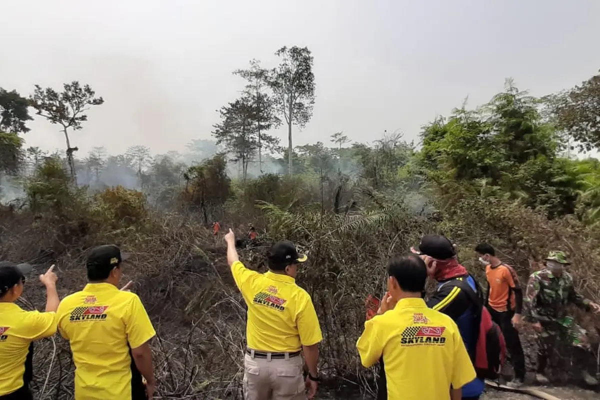 Perusahaan Pembakar Lahan di Musi Banyuasin Terancam Dicabut Izinnya