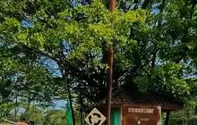 Kisah Petilasan di Tengah Jalan Sumedang, Alat Berat Malah Rusak saat Dipindahkan