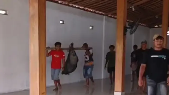 Warga Blora menangkap celeng yang masuk masjid. (Istimewa)
