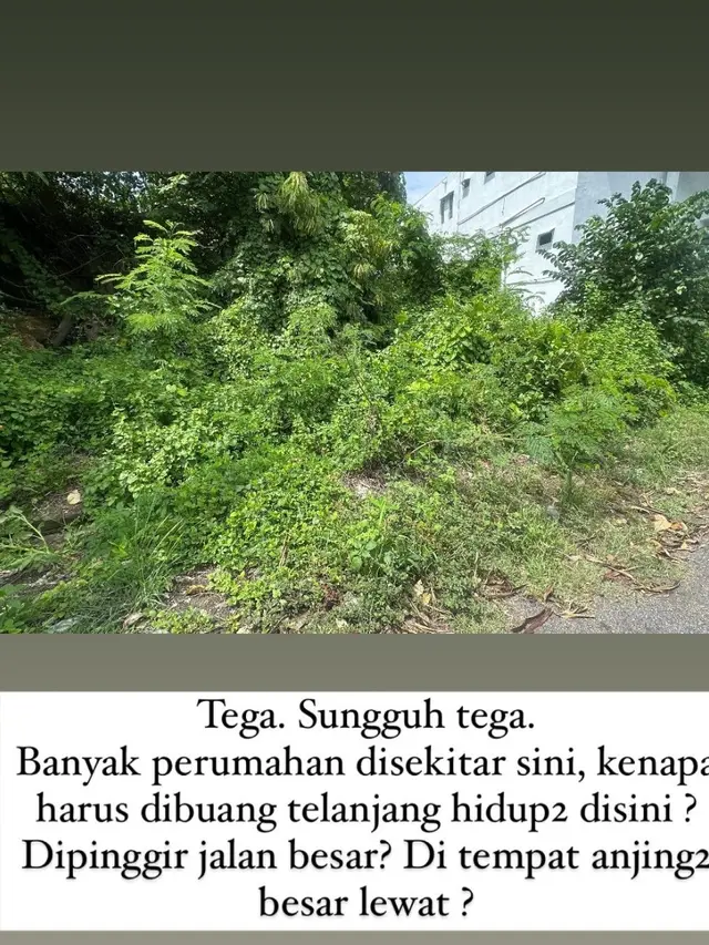 Nana Mirdad Temukan Bayi Dibuang