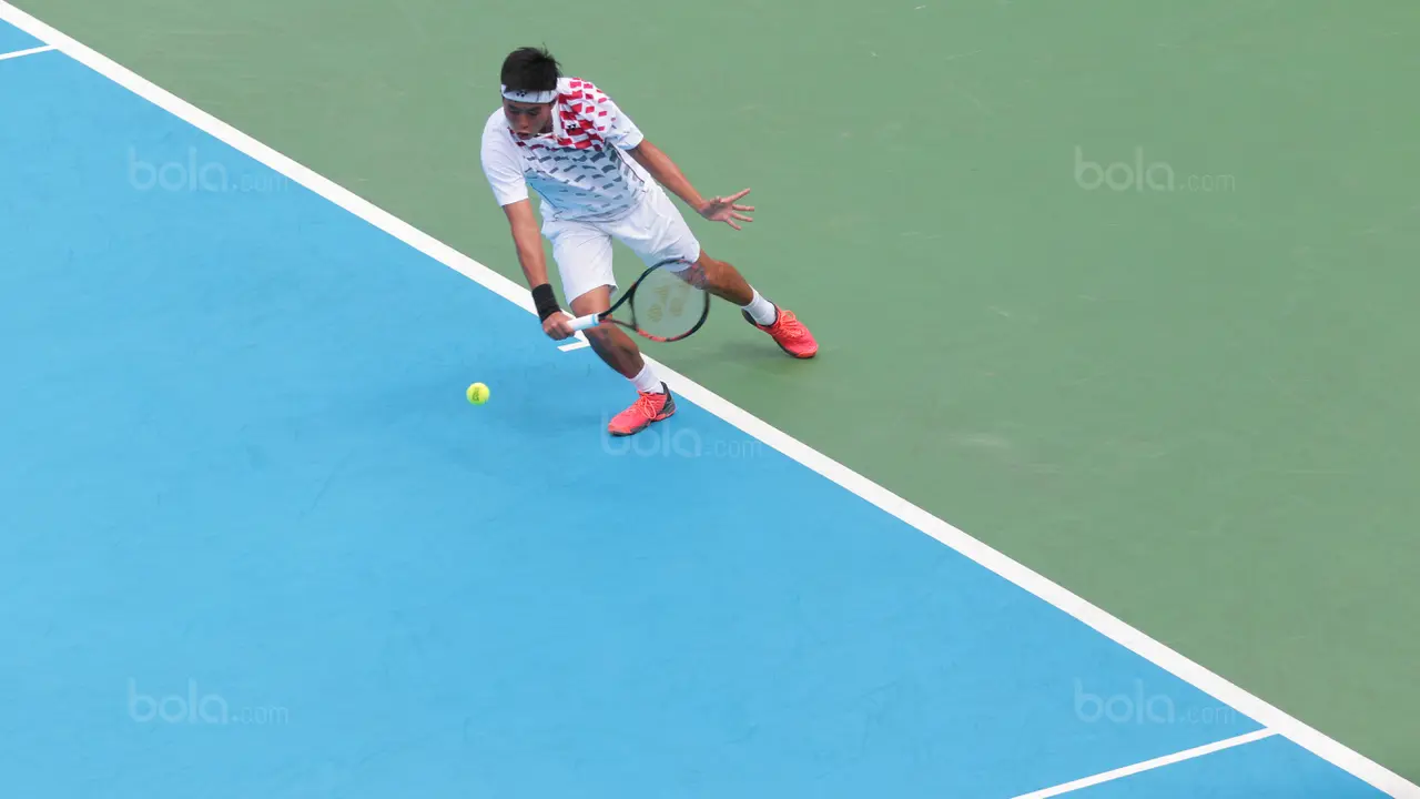 Piala Davis 2018, Tenis Indonesia