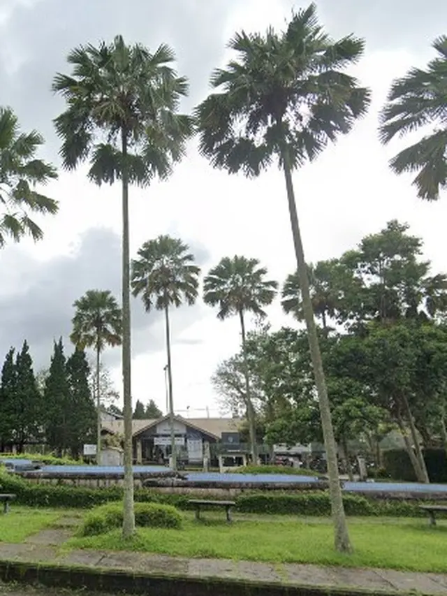 Jendela Alam