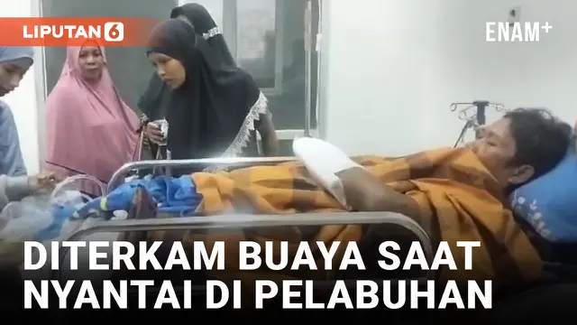 Warga Muna Diterkam Buaya 4 Meter Saat Sedang Duduk di Dermaga Pelabuhan