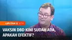 Ini mungkin bisa jadi kabar menggembirakan bagi penanggulangan demam berdarah. Kini sudah ada vaksin DBD. Lalu bagaimana penggunaan dan tingkat kemanjurannya?