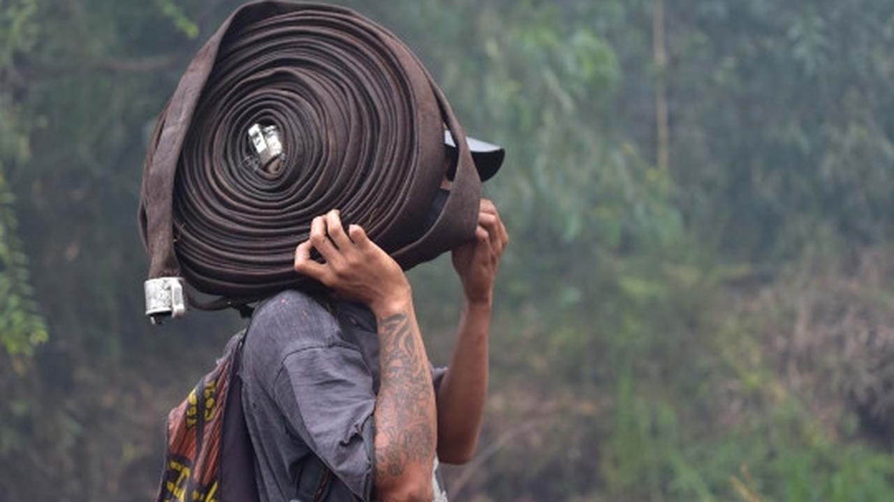 Kisah pekerja kebun kelapa sawit berjibaku padamkan kebakaran hutan