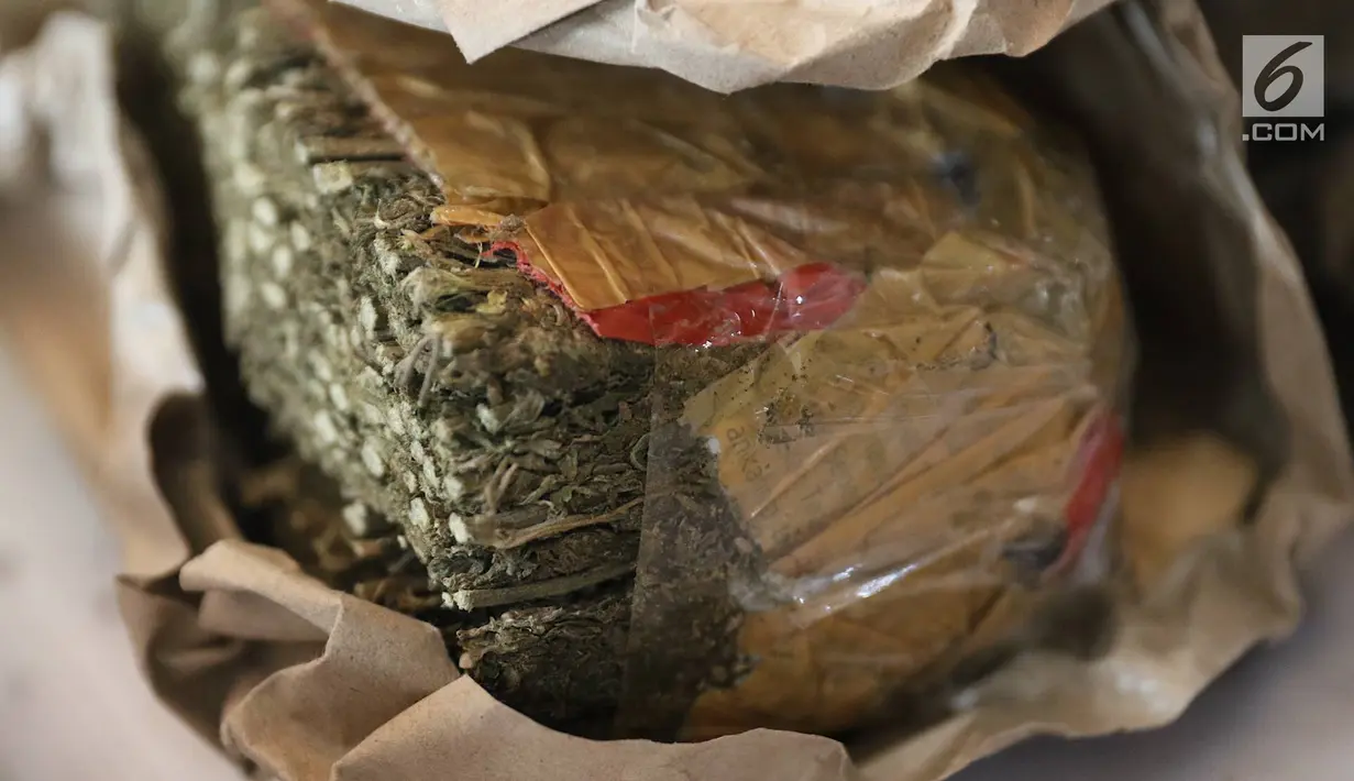 Barang bukti ganja diperlihatkan sebelum dimusnahkan di Jakarta, Senin (18/2). Polda Metro Jaya memusnahkan sebanyak 127 kg sabu, 92.000 butir ekstasi, serta 325 gram ganja dari tiga kasus berbeda. (Liputan6.com/Immanuel Antonius)