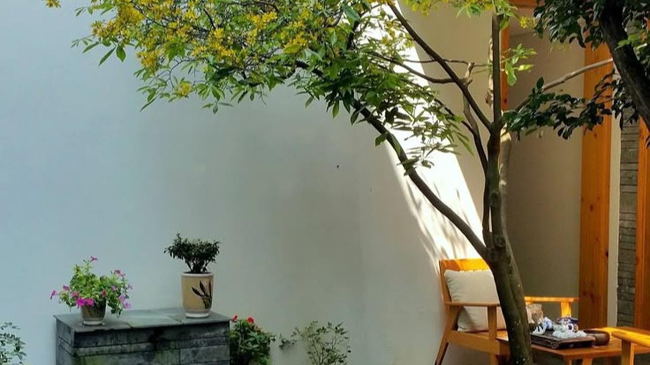 Ilustrasi Taman Depan Rumah Minimalis di Lahan Sempit dengan Kolam Air (©Pinterest)