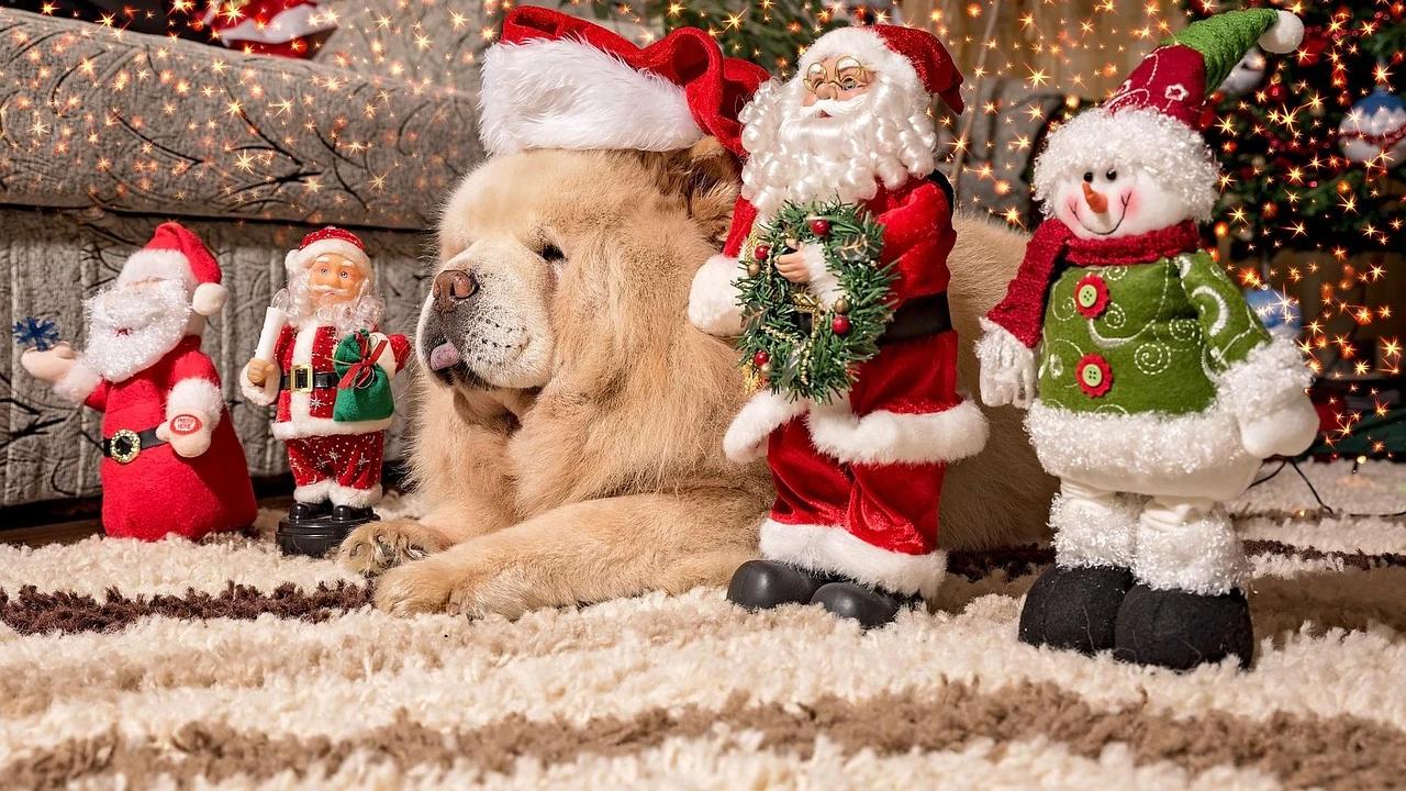 10 Ide Kegiatan Natal Bersama Anak yang Mudah Dilakukan, Seru dan Bermakna