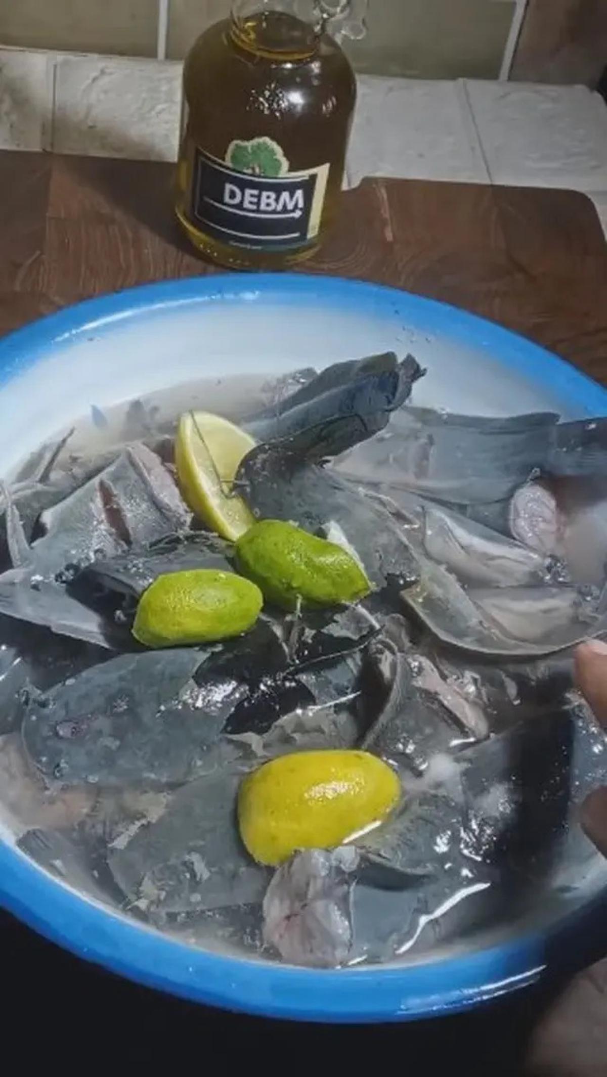 Cara Simpan Lele Tanpa Kulkas agar Tahan Hingga 2 Hari