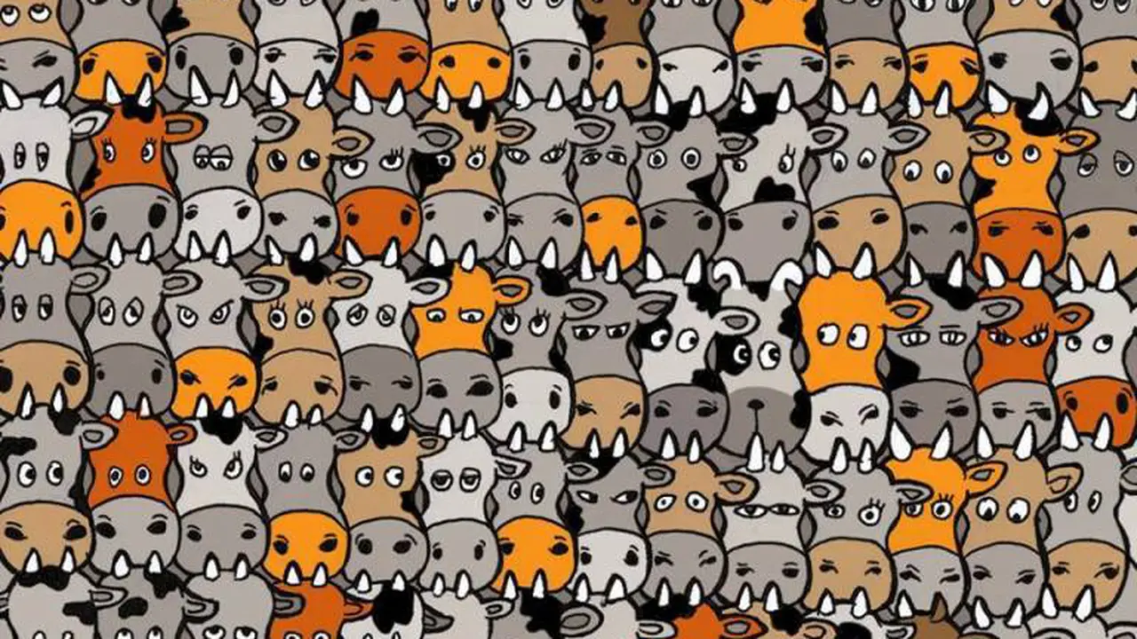Di Antara Puluhan Sapi, Dapatkah Kamu Temukan Anjing di Sini?