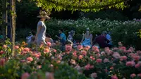Warga menikmati sinar matahari di Taman Bunga Ratu Mary di Regent's Park di London pada 25 Juni 2020. Inggris pada Kamis (25/6) mengalami hari terpanasnya tahun ini hingga sejauh ini, dengan suhu mencapai 33,3 derajat Celsius di Bandara Heathrow, menurut badan meteorologi. (Xinhua/Han Yan)