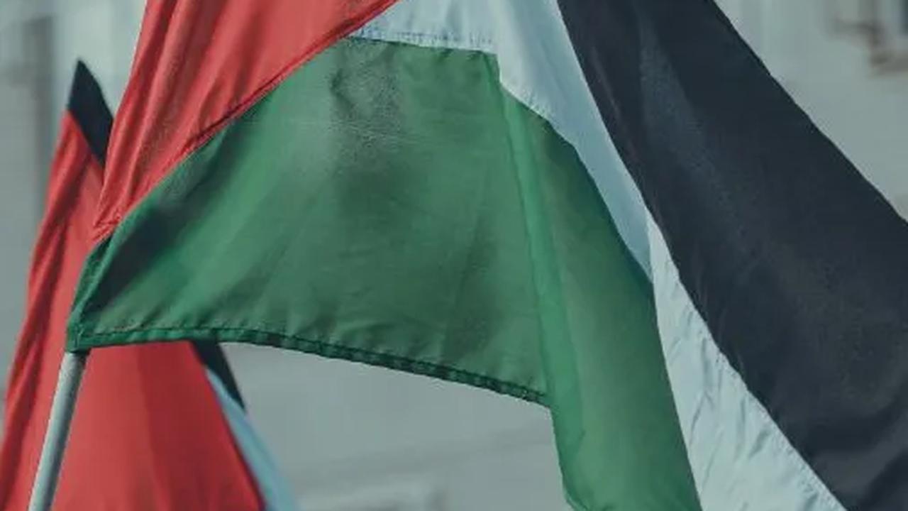 Viral Satpam Larang Bendera Palestina,  Summarecon Langsung Beri Sikap Tegas