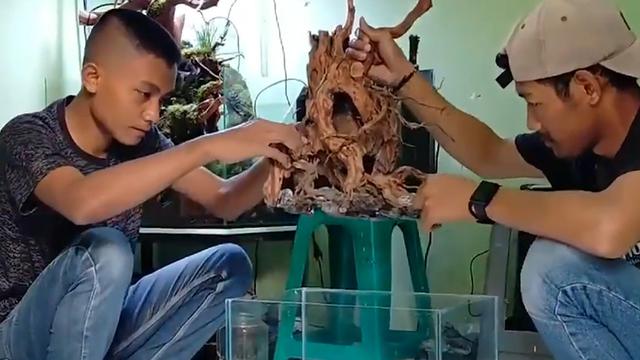 Proses membuat aquascape