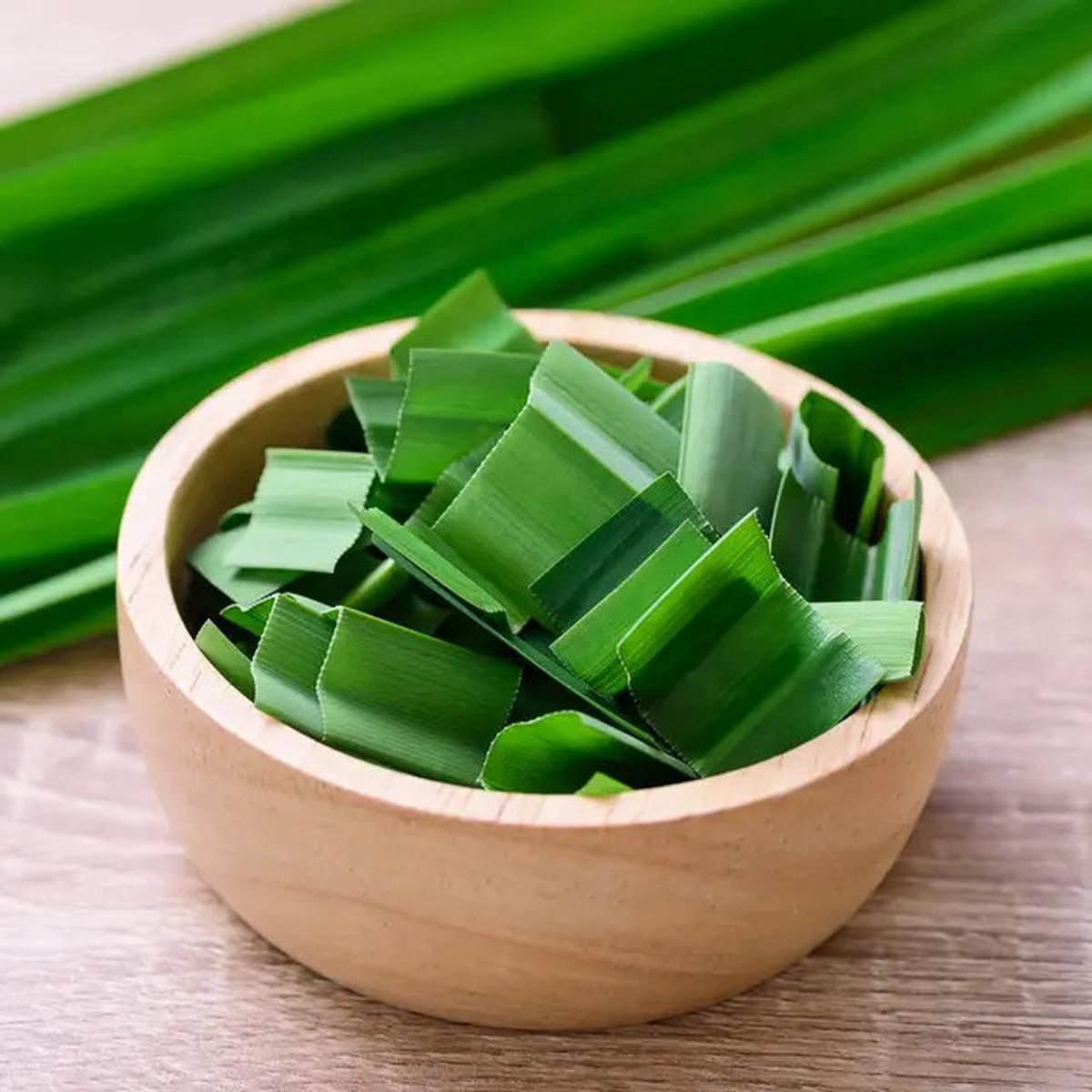 Manfaat Daun Pandan untuk Menurunkan Gula Darah dan Kolesterol