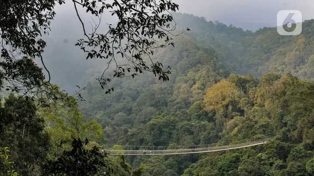 Berwisata ke Jembatan Gantung Terpanjang se-Asia Tenggara di Kala Pandemi