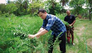 Nicholas Saputra hadiri puncak Pembinaan Wastra Warna Alam 2024 hingga 2025 yang ditandai pengenalan ragam wastra karya penenun Sumba Timur, NTT. (Foto: Dok. Istimewa)
