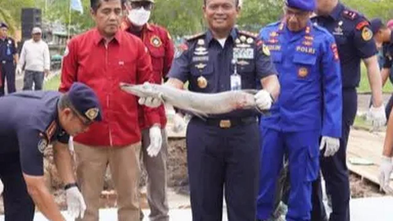 KKP Musnahkan 1,7 Ton Obat Ikan Tak Terdaftar & Belasan Alat Tangkap Merusak