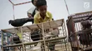 Anak-anak melihat merpati kolongan di dalam kandang yang akan beradu balap di kawasan Menteng Pulo, Jakarta, Minggu (4/3). Setiap akhir pekan komunitas merpati kolongan memanfaatkan waktu untuk berlatih. (Liputan6.com/Faizal Fanani)