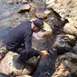 Petugas mengambil contoh limbah minyak yang mencemari Pantai Nongsa. (foto: Liputan6.com / ajang nurdin)