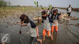 Para murid membawa bibit mangrove untuk di tanam di Pesisir Pantai Muara Karang, Jakarta, Kamis (29/10). 5.000 bibit baru ditanam untuk memperkuat ekosistem yang telah dibangun dan memperbesar manfaat terhadap masyarakat. (Liputan6.com/Faizal Fanani)