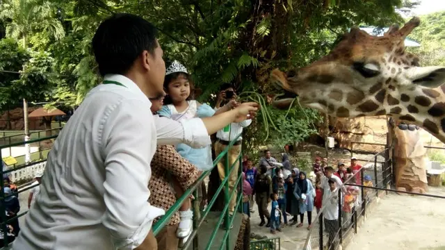 (Foto: Liputan6.com/Dian Kurniawan)