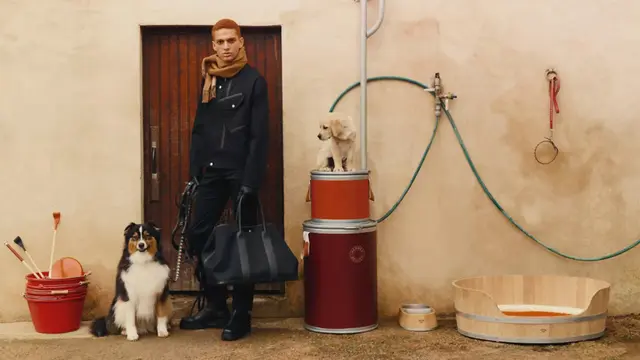 Bukan Cuma Manusia, Deretan Brand Luxury Ini Punya Koleksi yang Bikin Hewan Peliharaan Tampil Mewah